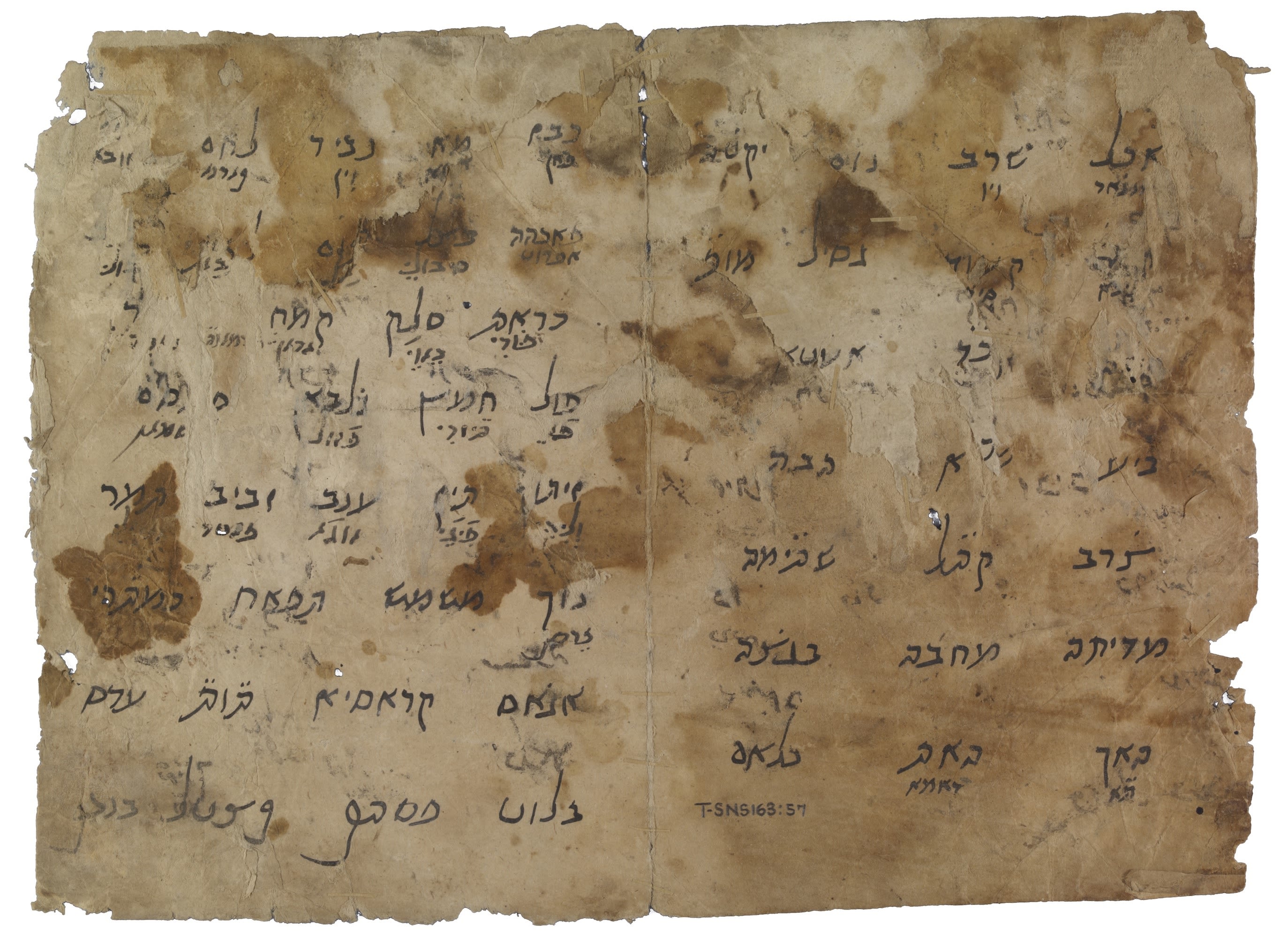 New, handwritten Maimonides texts discovered at Cambridge University Library