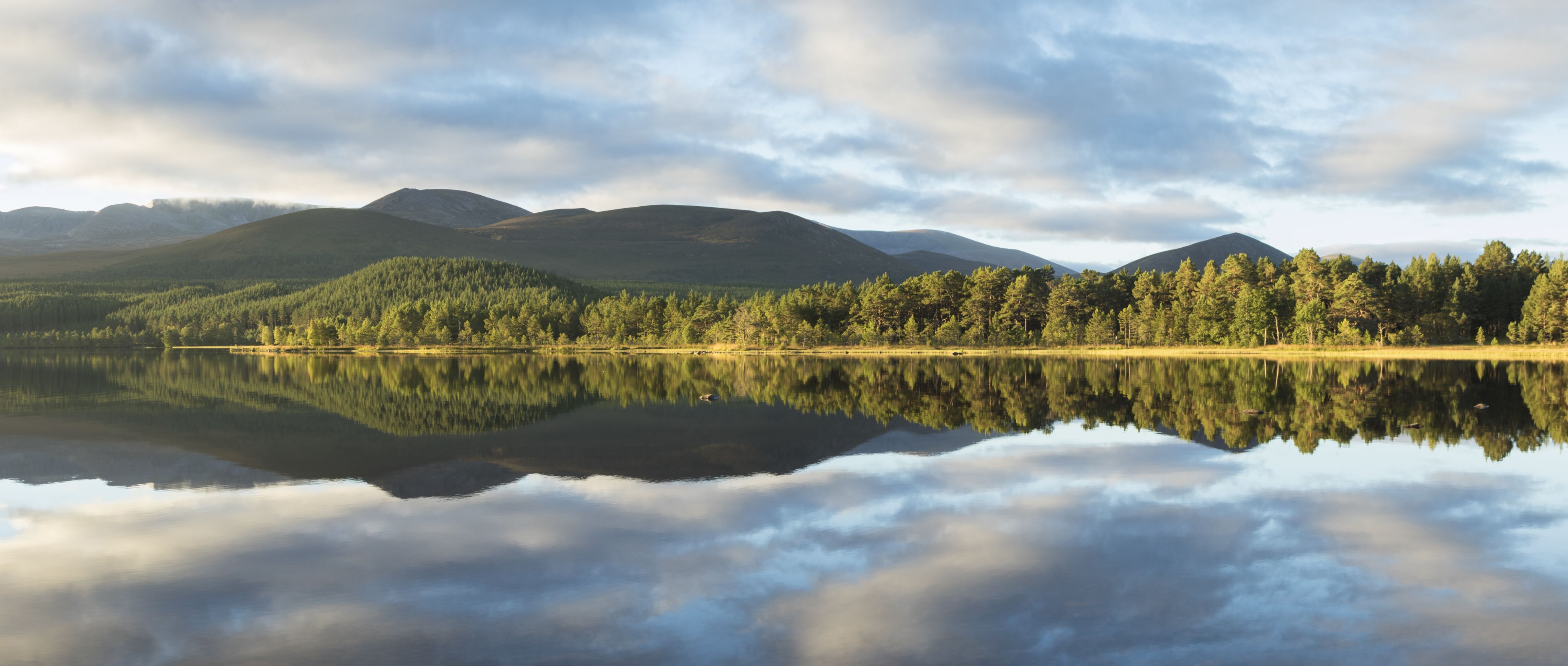 Scottish highlands, by Mark Hamblin