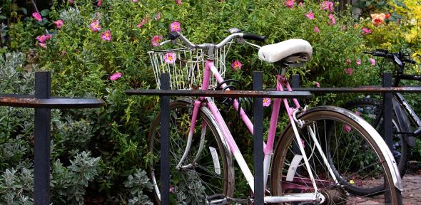 Bicycle at Dept of Earth Sciences