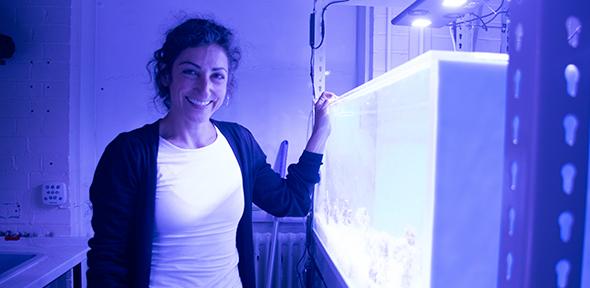 Duygu with her coral tanks