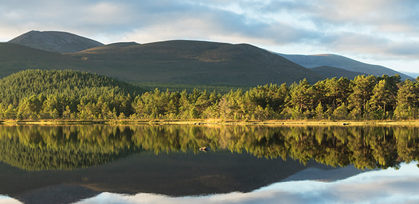 Scottish highlands.