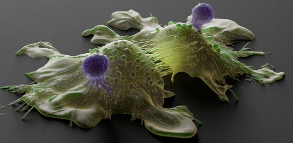 Illustration of T cells attacking cancer cells