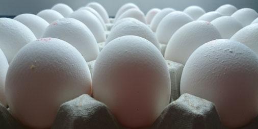 A tray of eggs up close