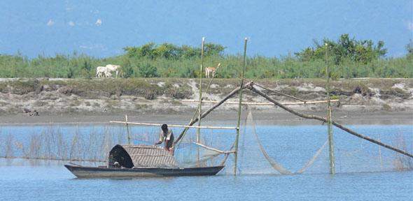 Brahmaputra - Assam