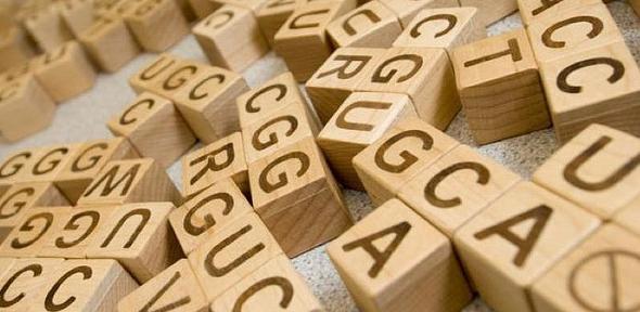 DNA/protein function finder from the Wellcome Trust, Sanger Institute, emblebi and YourGenome