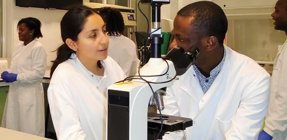 Molecular Lab Techniques Training