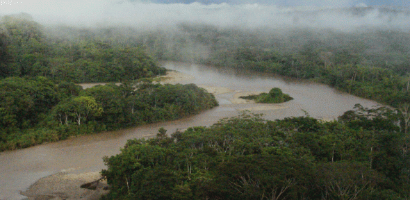 Amazon rainforest