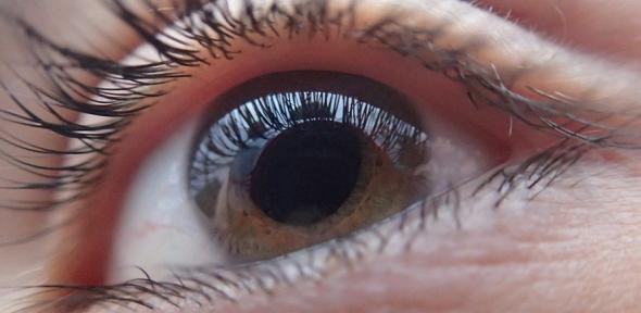 Eye