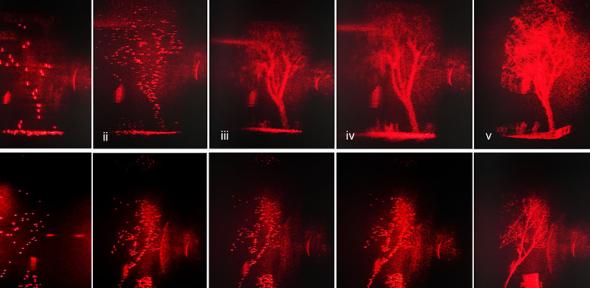 Holographic replay field results of 3D LiDAR processed data sets. LiDAR truck and tree objects are displayed.