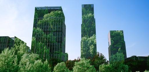 Skyscrapers covered in trees.