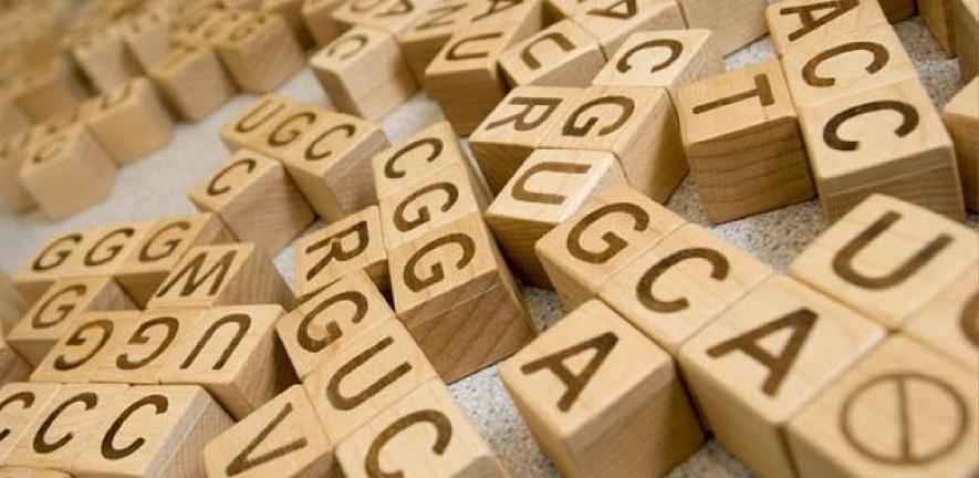 DNA/protein function finder from the Wellcome Trust, Sanger Institute, emblebi and YourGenome