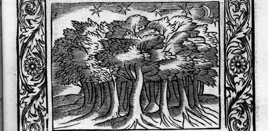 Henry Peacham, 'Silvius', from Minerva Britanna (1612)