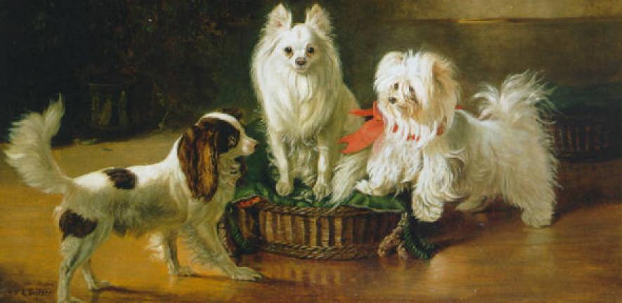 A toy spaniel, a Pomeranian and a Maltese terrier at a basket – Oil on Canvas by Johann Friedrich Wilhelm Wegener 1855