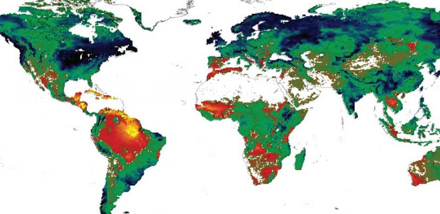 Initial ISI-MIP simulation showing the effects on vegetation productivity at the highest emissions scenario (reduction: red to yellow; increase: green to blue) 