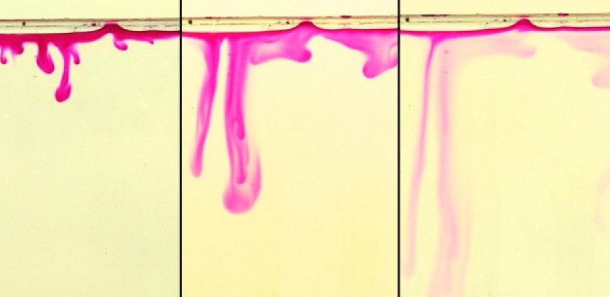 Evolution of the pink diffusive boundary layer formed by geochemical reactions