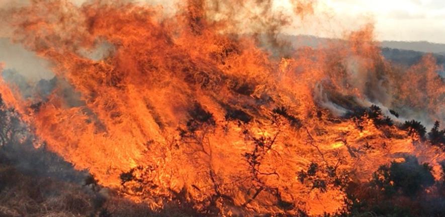 Fire on UK moorland