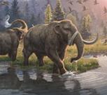 Artist's impression of Greenland two million years ago