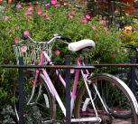 Bicycle at Dept of Earth Sciences