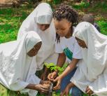 Young people plant a tree