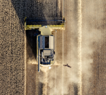 A combine harvester in a field