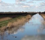 River with black fen soil in background