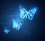 Abstract image of digital butterflies