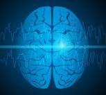 Visual representation of focal epilepsy