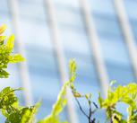 Modern building with green leaves in front of it