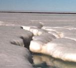 The first sign of the spring melt - a stream is seen flowing on the ice in the Arctic.