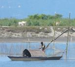 Brahmaputra - Assam