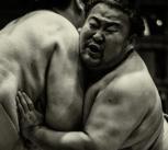 Sumo Wrestlers Wrestling on the Ring 1