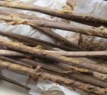 2,000-year-old personal hygiene sticks with remains of cloth, excavated from the latrine at Xuanquanzhi