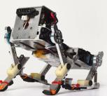 Puppy, a running robot developed by Fumiya Iida’s team