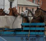 Traffic in Ulaanbaator