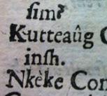 Page from Colloquia et dictionariolum octo linguarum (Amsterdam, 1631), a pocket-sized phrasebook containing material in eight languages.