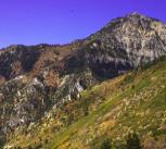 Fall in the Wasatch Mountains