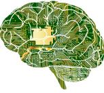 Graphic representing brain circuits