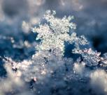 Snow Crystal Landscape