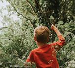 Young boy making his way through a dense forest of trees and cow parsley. He stands out in the green in his bright red jumper.