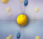 Structure with symmetric hydrogen bonds induced by the quantum behavior of the protons, represented by the fluctuating blue spheroids