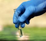 Water sample in test tube