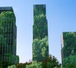 Skyscrapers covered in trees.