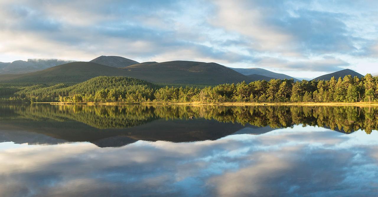 Scottish Highlands restoration.