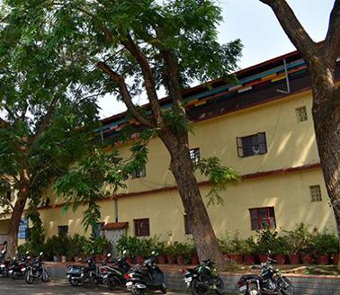 Trees in an Indian city by a building.