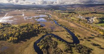 Cairngorms landscape.