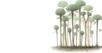 Illustration of Calamophyton trees