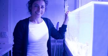 Duygu Sevilgen with her coral tanks