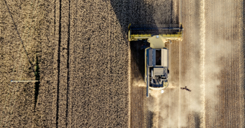 A combine harvester in a field