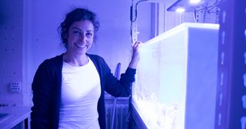 Duygu with her coral tanks