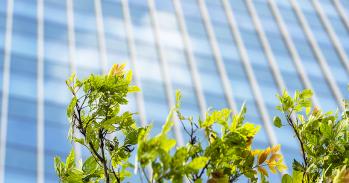 Modern building with green leaves in front of it